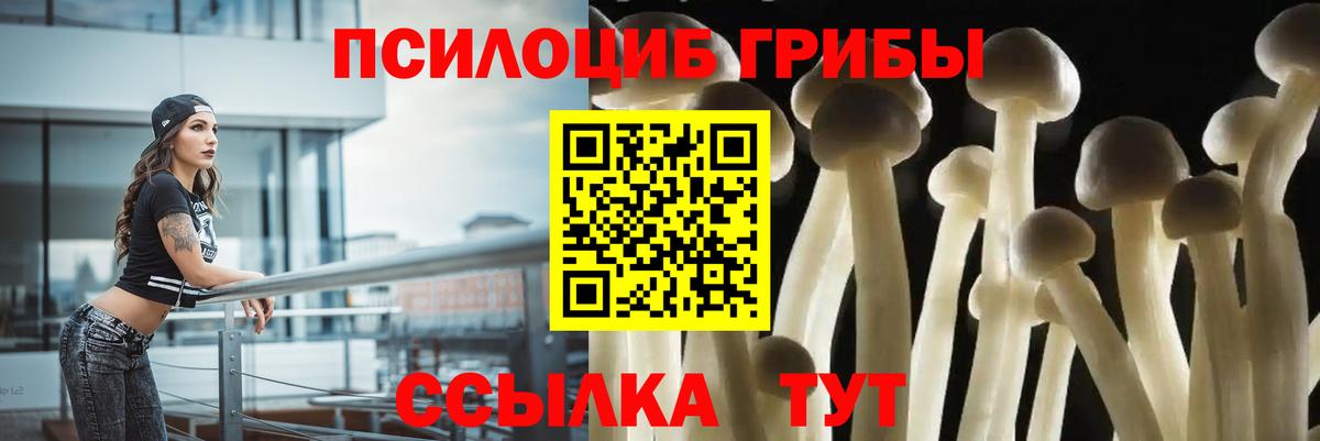 Псилоцибиновые грибы Magic Shrooms  Вход с VPN  Псилоцибиновые грибы мухоморы  Зеленогорск 